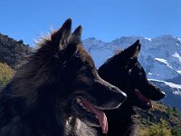 Shani und Gitan